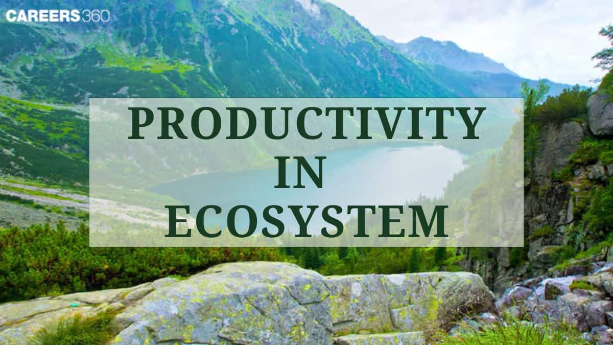 Productivity in ecosystem: Definition, Types, Diagram